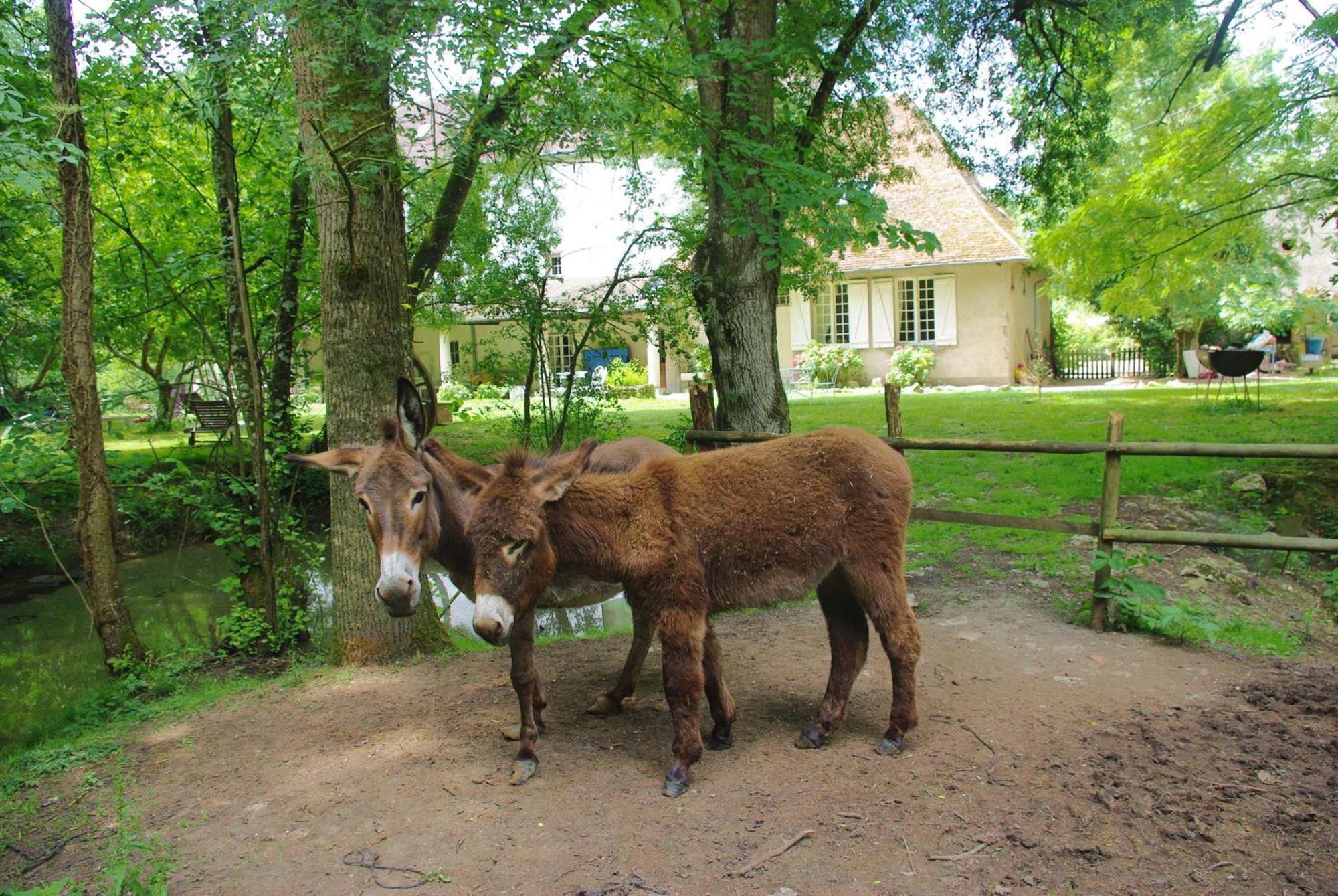 Maison D'Hotes Moulin Du Bas Pese Mont-pres-Chambord Luaran gambar
